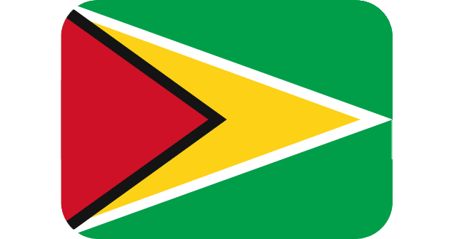 Pharmaceutical Exporter In Guyana