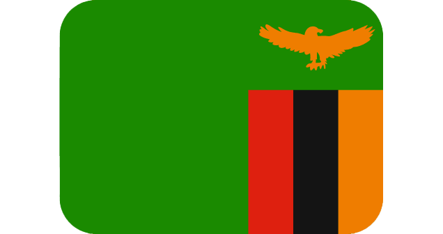 Pharmaceutical Exporter In Zambia